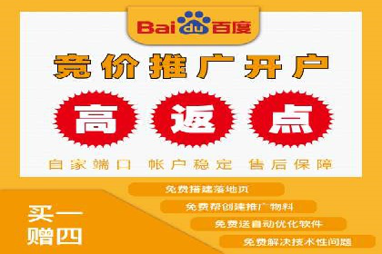 SEM投放策略：成功案例解析